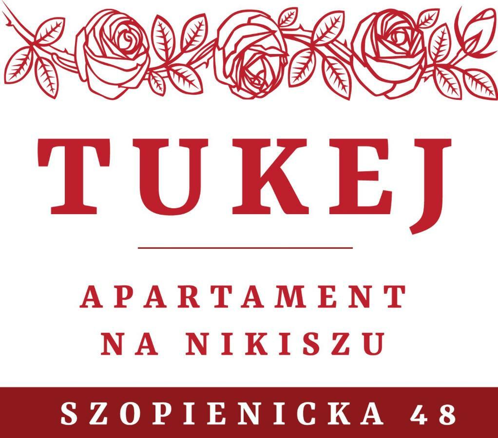 Tukej Apartament Na Nikiszu Katoviçe Dış mekan fotoğraf